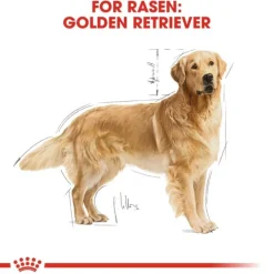 Royal Canin Golden Retriever Adult torrfoder för hund