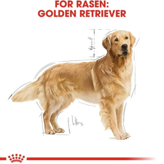 Royal Canin Golden Retriever Adult torrfoder för hund