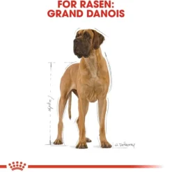 Royal Canin Great Dane Adult torrfoder för hund