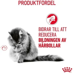 Royal Canin Hairball Care Adult torrfoder för katt