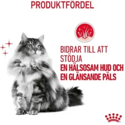 Royal Canin Hair & Skin Care Gravy Adult våtfoder för katt 12 x 85 g
