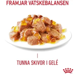 Royal Canin Hair & Skin Care Jelly Adult våtfoder för katt 12 x 85 g