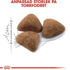 Royal Canin Indoor Adult torrfoder för katt