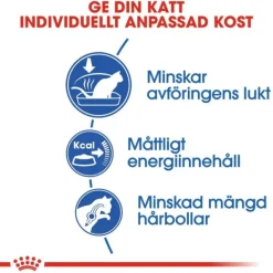 Royal Canin Indoor Adult torrfoder för katt