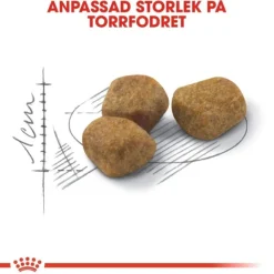 Royal Canin Indoor 7+ Ageing torrfoder för katt