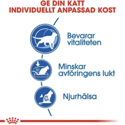 Royal Canin Indoor 7+ Ageing torrfoder för katt