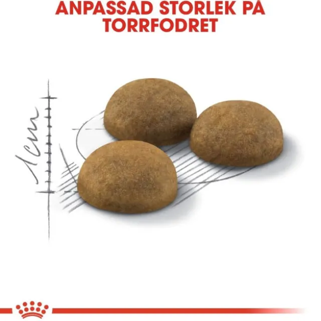 Royal Canin Indoor Long Hair Adult torrfoder för katt