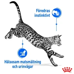 Royal Canin Indoor Sterilised Gravy Adult våtfoder för katt 12x85 g