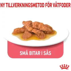 Royal Canin Indoor Sterilised Gravy Adult våtfoder för katt 12x85 g
