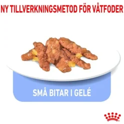 Royal Canin Indoor Sterilised Jelly Adult våtfoder för katt 12x85 g