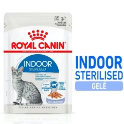 Royal Canin Indoor Sterilised Jelly Adult våtfoder för katt 12x85 g