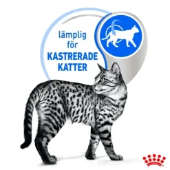 Royal Canin Indoor Sterilised Jelly Adult våtfoder för katt 12x85 g