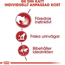 Royal Canin Instinctive Jelly Adult våtfoder för katt 12x85 g