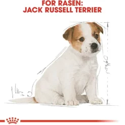 Royal Canin Jack Russell Terrier Puppy torrfoder för hundvalp