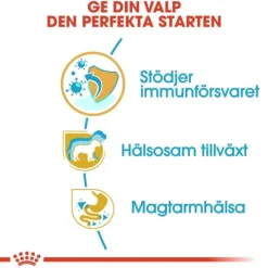 Royal Canin Jack Russell Terrier Puppy torrfoder för hundvalp