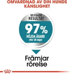 Royal Canin Joint Care Maxi Adult torrfoder för hund