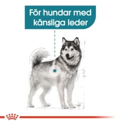 Royal Canin Joint Care Maxi Adult torrfoder för hund