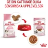 Royal Canin Kitten Gravy våtfoder för kattunge 12x85 g