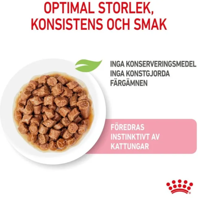 Royal Canin Kitten Gravy våtfoder för kattunge 12x85 g