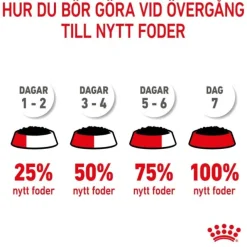 Royal Canin Kitten Jelly våtfoder för kattunge 12x85 g