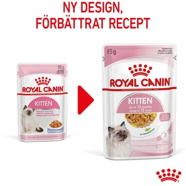 Royal Canin Kitten Jelly våtfoder för kattunge 12x85 g