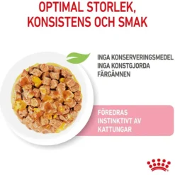 Royal Canin Kitten Jelly våtfoder för kattunge 12x85 g