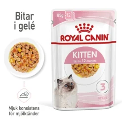 Royal Canin Kitten Jelly våtfoder för kattunge 12x85 g