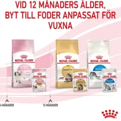 Royal Canin Kitten Jelly våtfoder för kattunge 12x85 g
