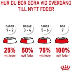 Royal Canin Kitten Sterilised torrfoder för kattunge