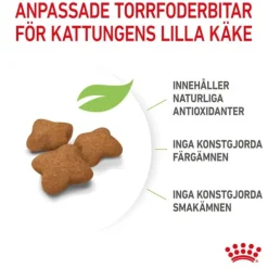 Royal Canin Kitten Sterilised torrfoder för kattunge