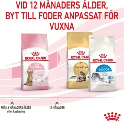 Royal Canin Kitten Sterilised torrfoder för kattunge