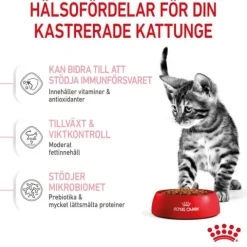 Royal Canin Kitten Sterilised torrfoder för kattunge