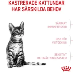 Royal Canin Kitten Sterilised torrfoder för kattunge