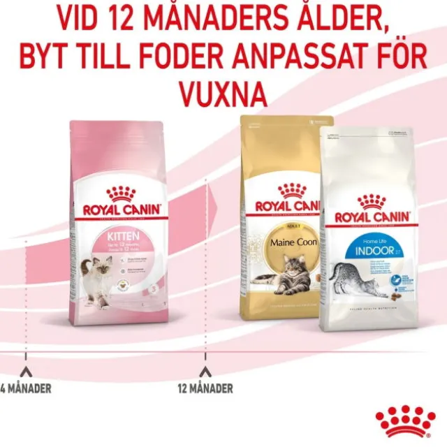 Royal Canin Kitten torrfoder för kattunge