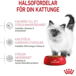 Royal Canin Kitten torrfoder för kattunge