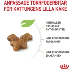 Royal Canin Kitten torrfoder för kattunge