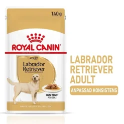 Royal Canin Labrador Retriever Adult Gravy våtfoder för hund 10x140 g