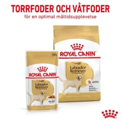 Royal Canin Labrador Retriever Adult Gravy våtfoder för hund 10x140 g