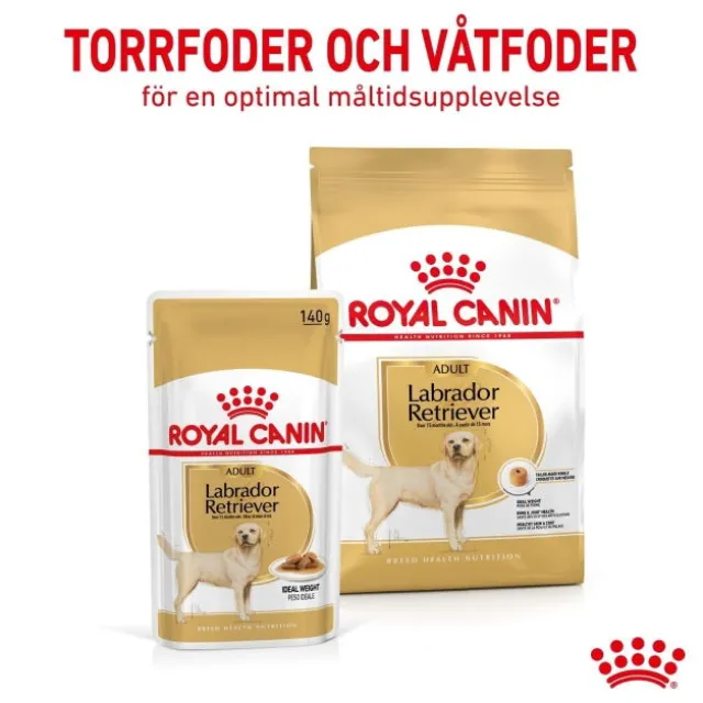 Royal Canin Labrador Retriever Adult Gravy våtfoder för hund 10x140 g