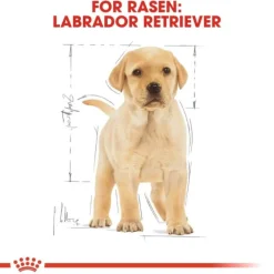 Royal Canin Labrador Retriever Puppy torrfoder för hundvalp