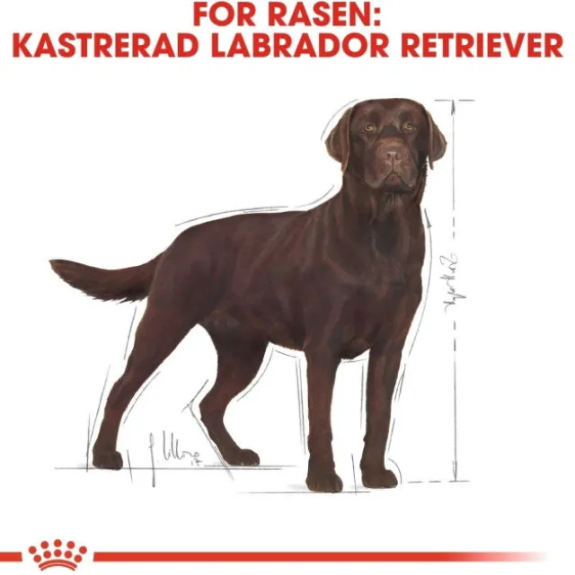 Royal Canin Labrador Retriever Sterilised Adult torrfoder för hund