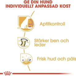 Royal Canin Labrador Retriever Sterilised Adult torrfoder för hund