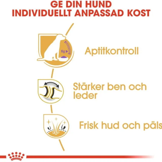 Royal Canin Labrador Retriever Sterilised Adult torrfoder för hund