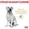 Royal Canin Labrador Retriever Adult 5+ torrfoder för hund 12 kg