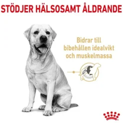 Royal Canin Labrador Retriever Adult 5+ torrfoder för hund 12 kg