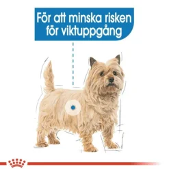 Royal Canin Light Weight Care Adult Loaf våtfoder för hund 12x85 g