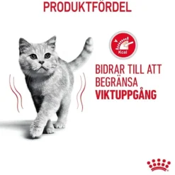 Royal Canin Light Weight Care Jelly Adult våtfoder för katt 12x85 g
