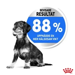 Royal Canin Light Weight Care Mini Adult torrfoder för hund