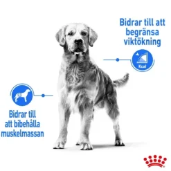 Royal Canin Light Weight Care Medium Adult torrfoder för hund