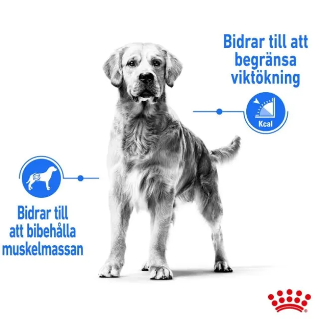 Royal Canin Light weight Care Maxi Adult torrfoder för hund